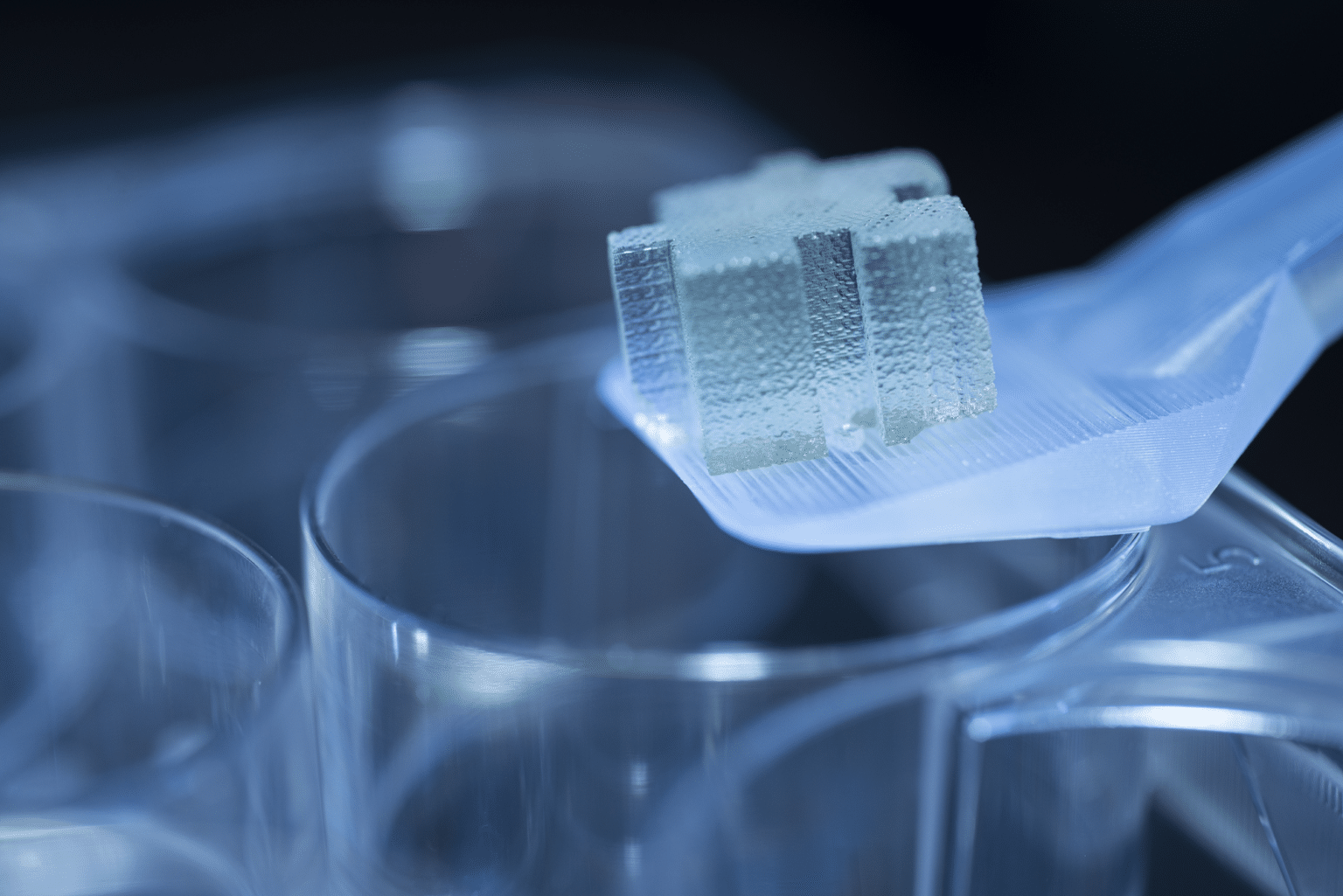 Member Spotlight: Ronawk | ARMI